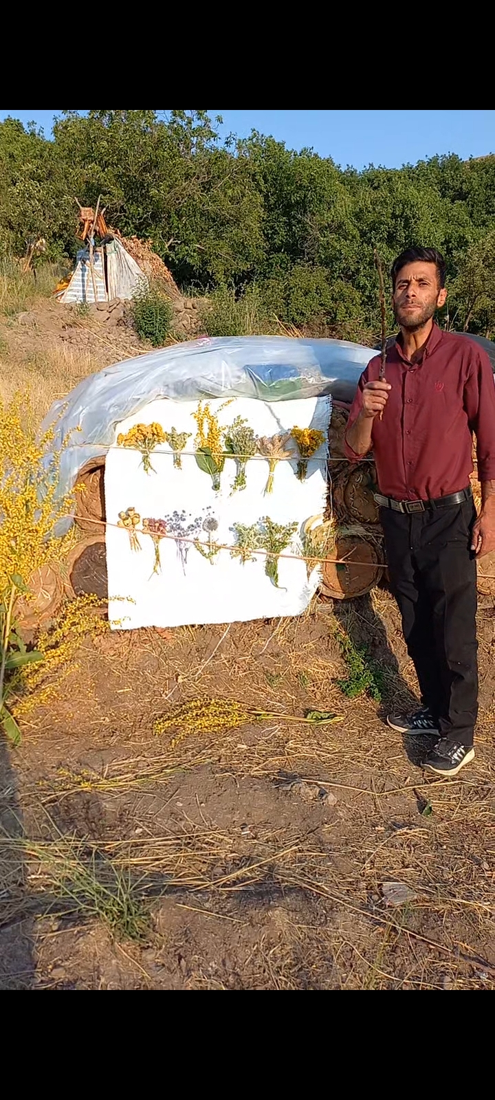 عسل طبیعی زینالی